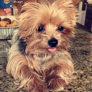 Meet your Posher, Rena